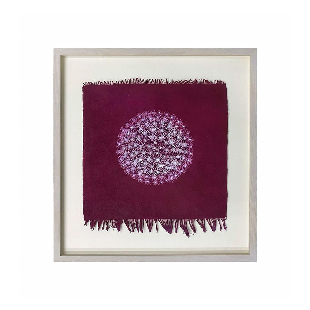 Dandelion en malva