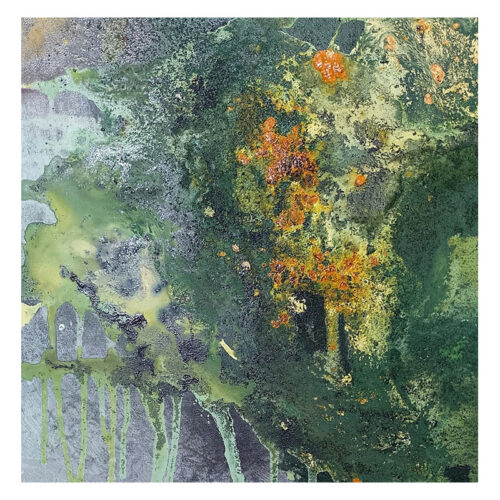 Otoño en Bosque Andino